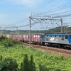1094レ 鹿島貨物(EF210-172) 【スマホ動画】