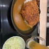 本日は、寂しく駅前でカレー食べて帰ります！