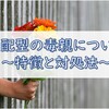 支配型の毒親がしんどい…暴言や経済的虐待を抜け出す方法は？