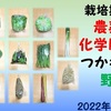 農薬や化学肥料をつかわない野菜（2022年3月第4週購入）