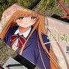 痛車に施工したソフト99のフッ素コート鏡艶（ミラーシャイン） ライトカラー車用が硬化したので耐久テスト。2週間で見る影もなくなりました。