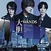 WANDS/大胆