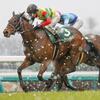 競馬初心者必見☆馬券予想🔥〜中山牝馬ステークス〜去年は大雪、今年は大雨。波乱の一戦が幕を開ける〜