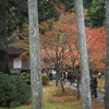 題名「三千院参拝」