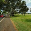 ハワイのワイキキランニングでおすすめコースは、カピオラニ公園周回コースです！