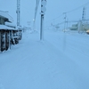 湿った重たい雪