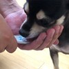 まろにー1774日目