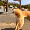 2022年4月14日🐾 今日のマヤ暦