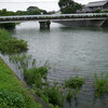 七夕なのに大雨です