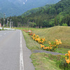 自宅裏水路法面草刈り