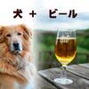 切り抜きよりレイヤーマスク～Photoshop Elements
