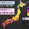 ★【　アイスクリームより　かき氷が食べたくなる　３４℃　】超…　★