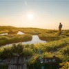 白木峰で拝むご来光〜日の出を狙って夜間登山〜（2021年7月）