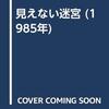 高橋英夫『見えない迷宮』