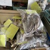 若者に期待