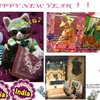 ☆*:.｡. o(≧▽≦)o .｡.:*☆happy new year ☆*:.｡. o(≧▽≦)o .｡.:*☆