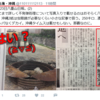 八重山日報を称賛するウヨたちの本末転倒 － 不発弾処理の情報で大切なのは事前告知と避難情報であり、自衛隊活動報告ではない