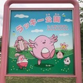 ご当地ポケモンが地域を盛り上げる！全国12道県の「推しポケモン」たちが活躍中