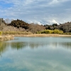 大貫池（茨城県大洗）