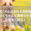 【関西】犬と泊まれる温泉宿5選！犬と温泉に泊まろう！