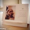 TOLOTで作った2014年度版愛犬ジョナサンカレンダープレゼントの結果発表！