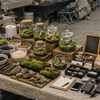 テラリウム作家として活動するための完全ガイド｜苔ワークショップ＆イベント出店持ち物一覧ピックアップ