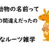 【意外なルーツ雑学】探検家の勘違いで名前が付いた動物！おもろか雑学【豆知識 トリビア 面白い】