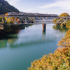 紅葉と緑の湖面：秋の神通峡