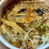 そばうどん　はないち　その十七　〜茄子のそばを極めてみる　その三十一〜