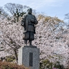 【どうする家康】岡崎大河ドラマ館年間パスポートと満開の桜