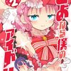 さよなら僕のアイドル｜2巻特典まとめ｜ストア一覧