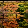 瑠璃光院の紅葉2025：見頃や色づき状況、混雑を避けるコツ！