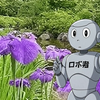 菖蒲・花菖蒲・杜若・アヤメの似て非なる花と名前の迷宮をひもとく😎