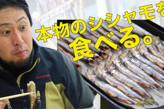 北海道にしかいない「本物のシシャモ」を知っているか？　珍魚ハンターが“シシャモの聖地”に突撃してきた
