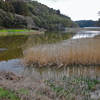 蛭沢堰（千葉県長生）