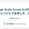 Large-Scale Scrum (LeSS)にチャレンジしてみました （序）