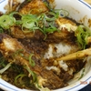 ねぎ味噌ロースかつ丼