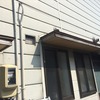 走り回って