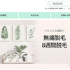 【Zqimsl】という怪しい偽通販サイトを徹底解説！