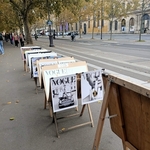 パリ旅行の服装と11月の天気！アルミスティス・デー＆Paris Photo（グラン・パレ）【2025】