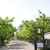 桃山学院大学とは 一般の人気 最新記事を集めました はてな