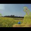 愛知県！絶景の伊良湖菜の花ガーデンをDJI AVATAで爽快に飛ぶ！