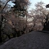 悠久山の花見　～五日目