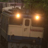 EF65　3本いただきました