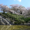 水月公園