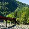 2025/04/29 新緑の久大本線を行く特急あそ1号