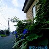 sehutenbaCOLORの混じった夏の空