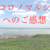 【ご感想】 まさに、読むイメージワークでした。心の中にビジョンの光が灯りました。