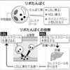 悪玉コレステロール、少なくても楽観禁物