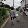 台風だけど…。そうだ、京都へ行こう(嵐山前編)